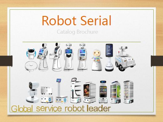 Food Delivery Robot Aker